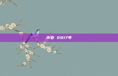 币安 2017年