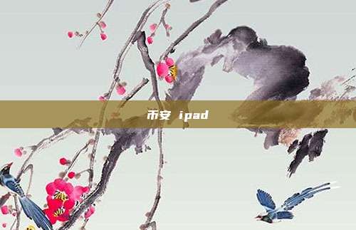 币安 ipad