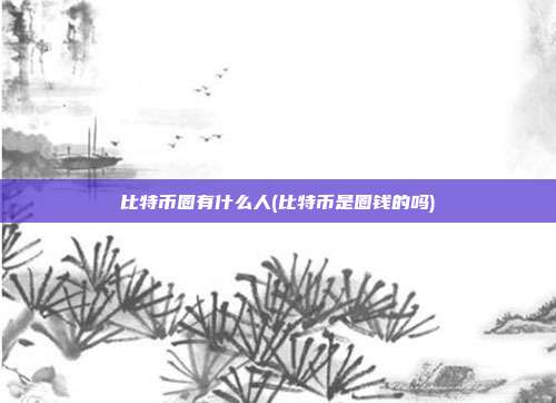 比特币圈有什么人(比特币是圈钱的吗)