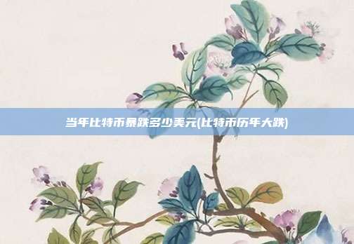 当年比特币暴跌多少美元(比特币历年大跌)