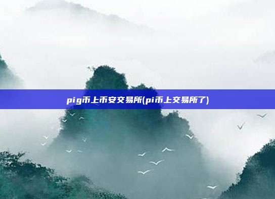 pig币上币安交易所(pi币上交易所了)