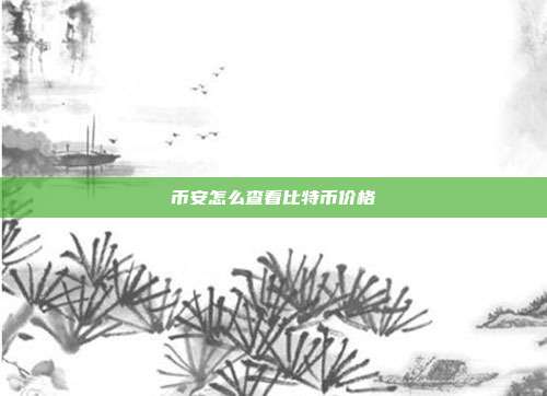 币安怎么查看比特币价格