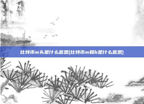 比特币m头是什么意思(比特币m和b是什么意思)