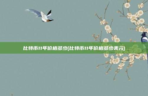 比特币11年价格多少(比特币11年价格多少美元)