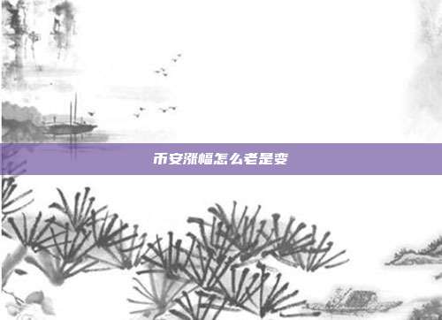 币安涨幅怎么老是变