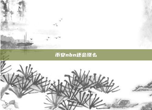 币安nbn还会涨么