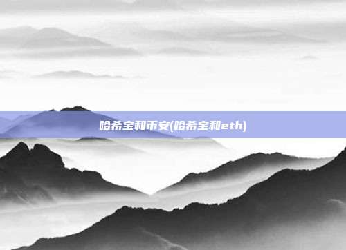 哈希宝和币安(哈希宝和eth)