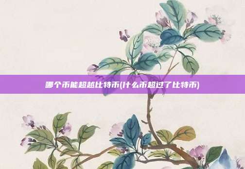 哪个币能超越比特币(什么币超过了比特币)